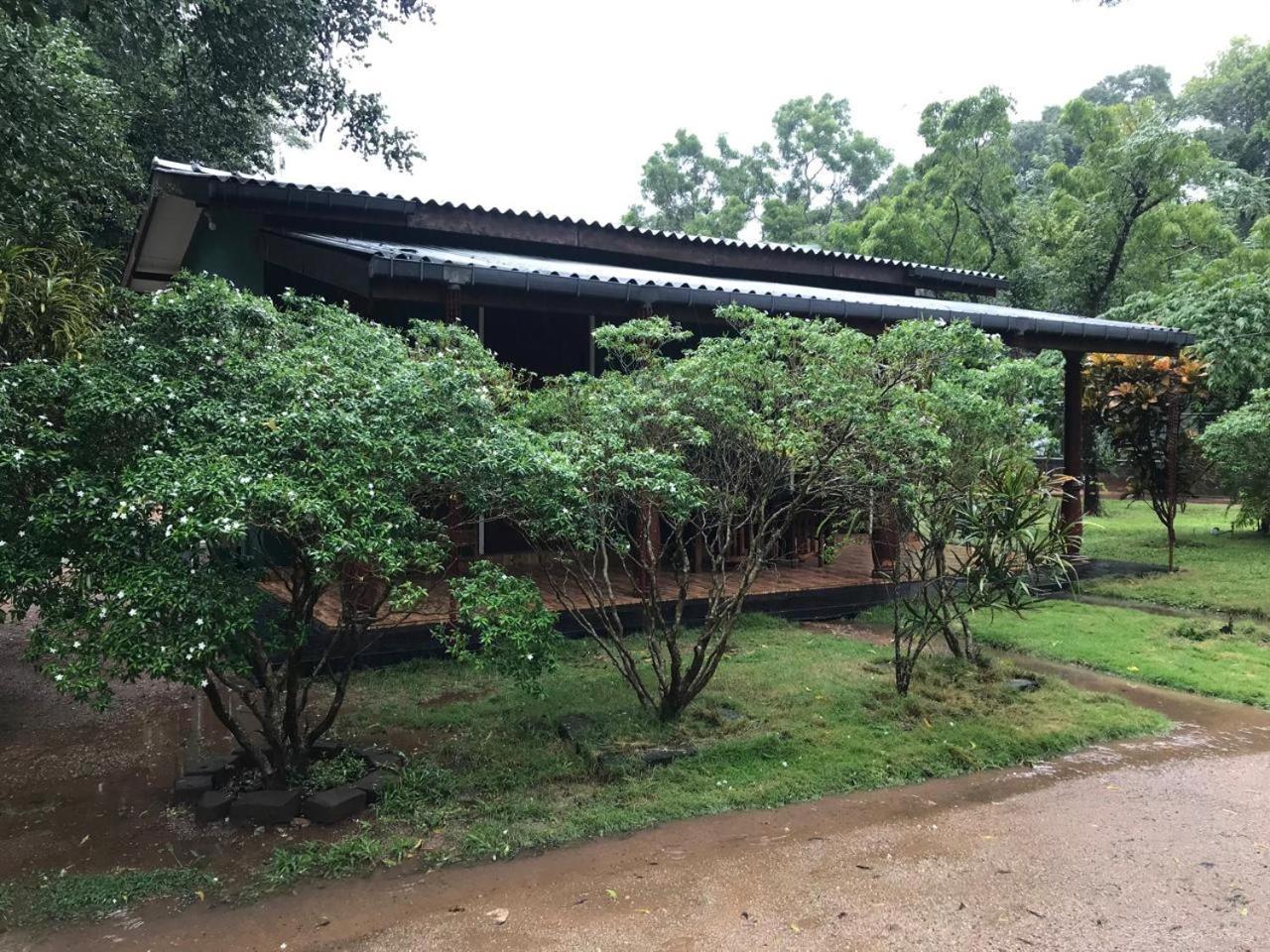 Greenwood Hotel Σιγκιρίγια Εξωτερικό φωτογραφία